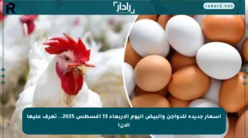أسعار جديدة للدواجن والبيض اليوم الأربعاء 13 أغسطس 2025.. تعرف عليها الآن!